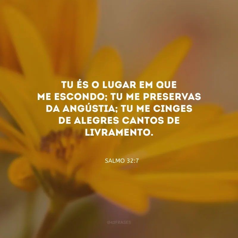 Tu és o lugar em que me escondo; Tu me preservas da angústia; Tu me cinges de alegres cantos de livramento.