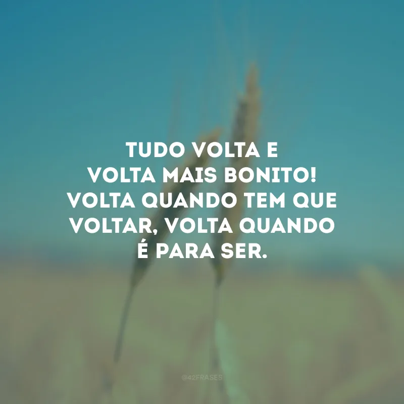 Tudo volta e volta mais bonito! Volta quando tem que voltar, volta quando é para ser. 