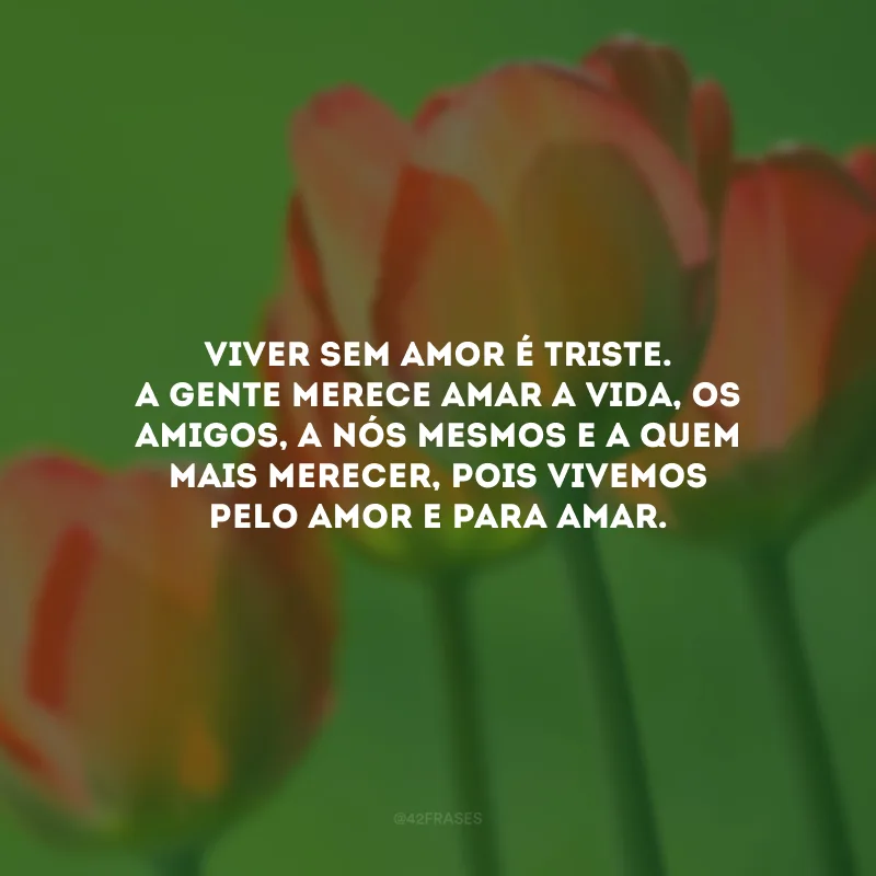 Viver sem amor é triste. A gente merece amar a vida, os amigos, a nós mesmos e a quem mais merecer, pois vivemos pelo amor e para amar.