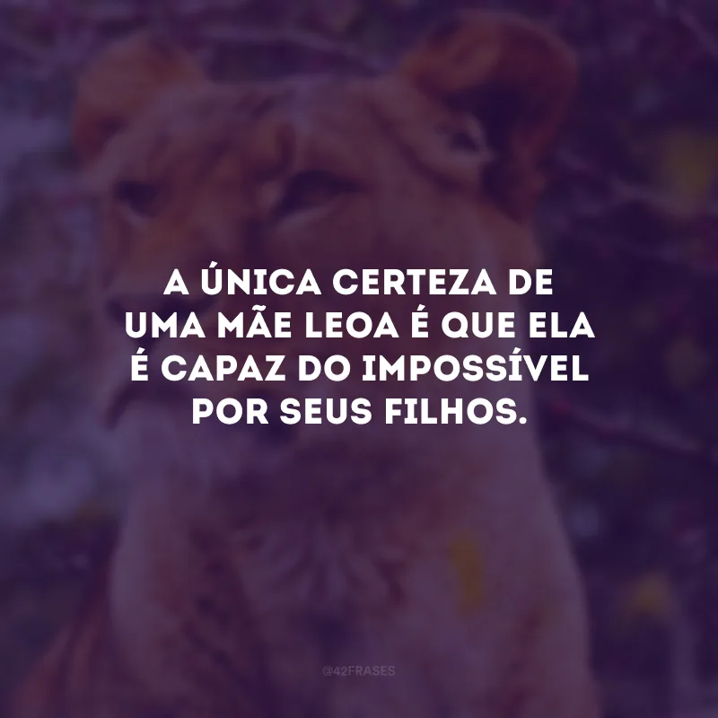 A única certeza de uma mãe leoa é que ela é capaz do impossível por seus filhos.