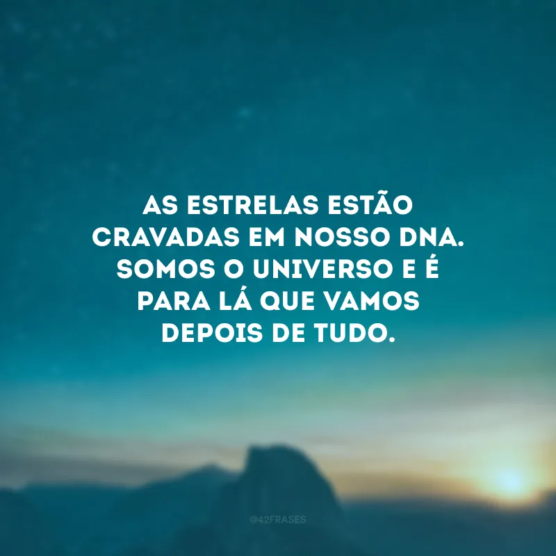 As estrelas estão cravadas em nosso DNA. Somos o Universo e é para lá que vamos depois de tudo.