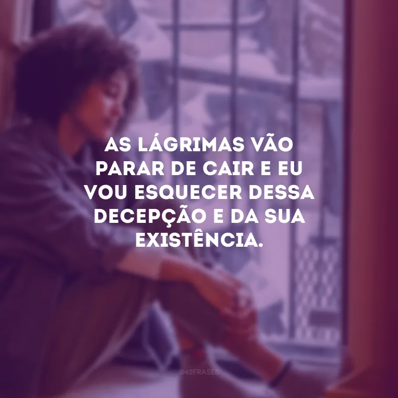As lágrimas vão parar de cair e eu vou esquecer dessa decepção e da sua existência.