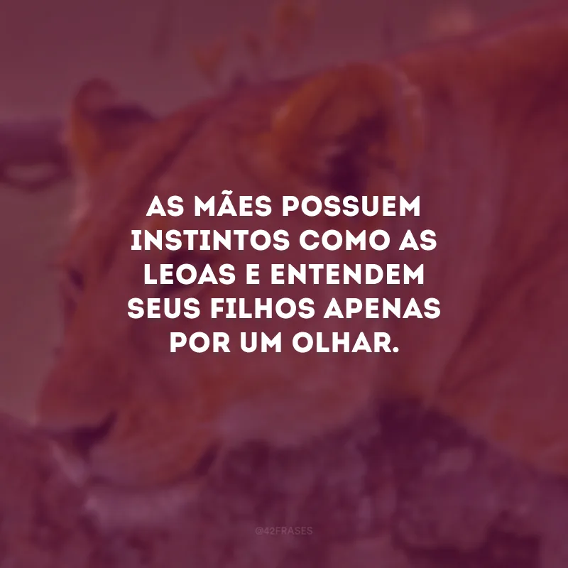 As mães possuem instintos como as leoas e entendem seus filhos apenas por um olhar.