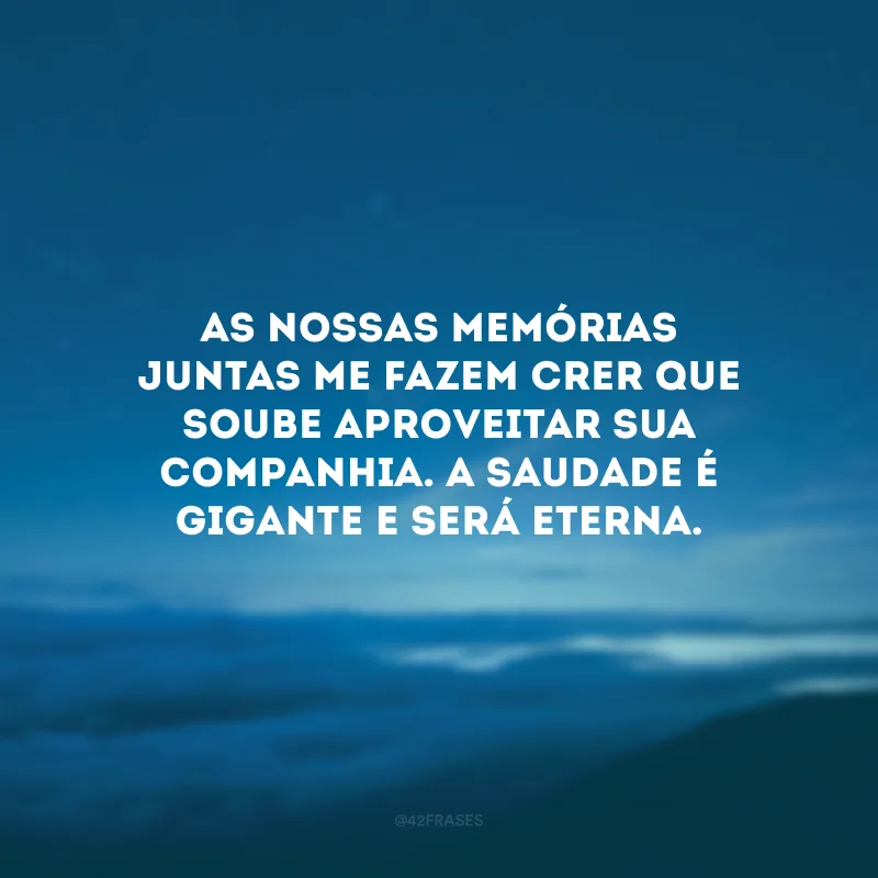As nossas memórias juntas me fazem crer que soube aproveitar sua companhia. A saudade é gigante e será eterna.