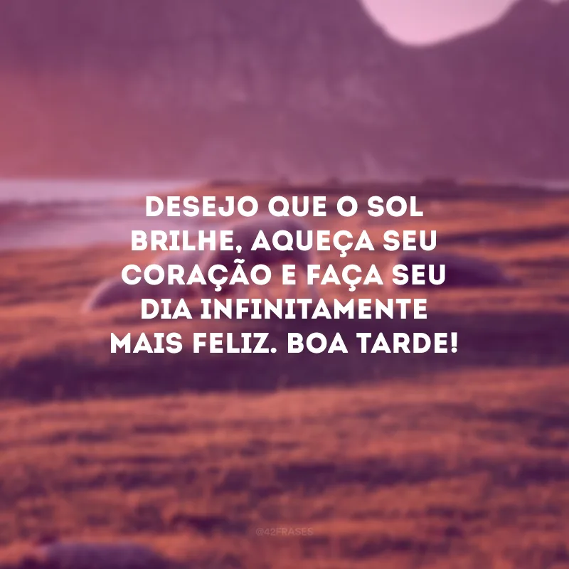 Desejo que o sol brilhe, aqueça seu coração e faça seu dia infinitamente mais feliz. Boa tarde!