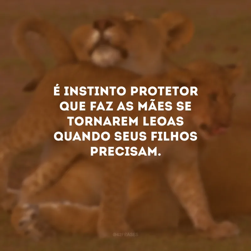 É instinto protetor que faz as mães se tornarem leoas quando seus filhos precisam.
