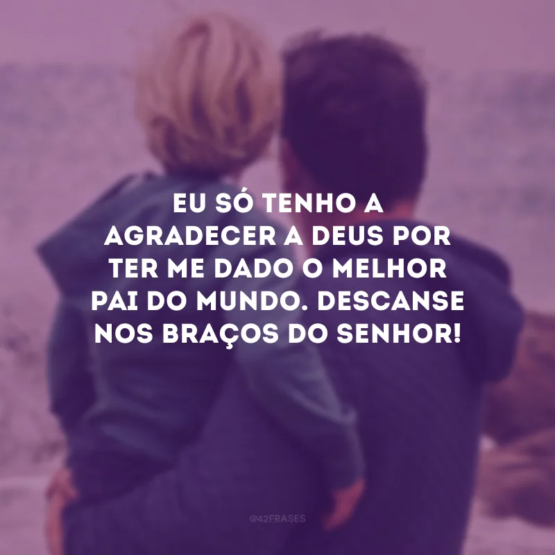 Eu só tenho a agradecer a Deus por ter me dado o melhor pai do mundo. Descanse nos braços do Senhor!