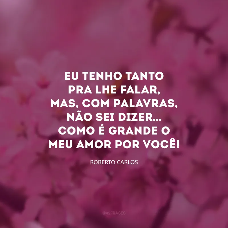 Eu tenho tanto pra lhe falar, mas, com palavras, não sei dizer… Como é grande o meu amor por você!