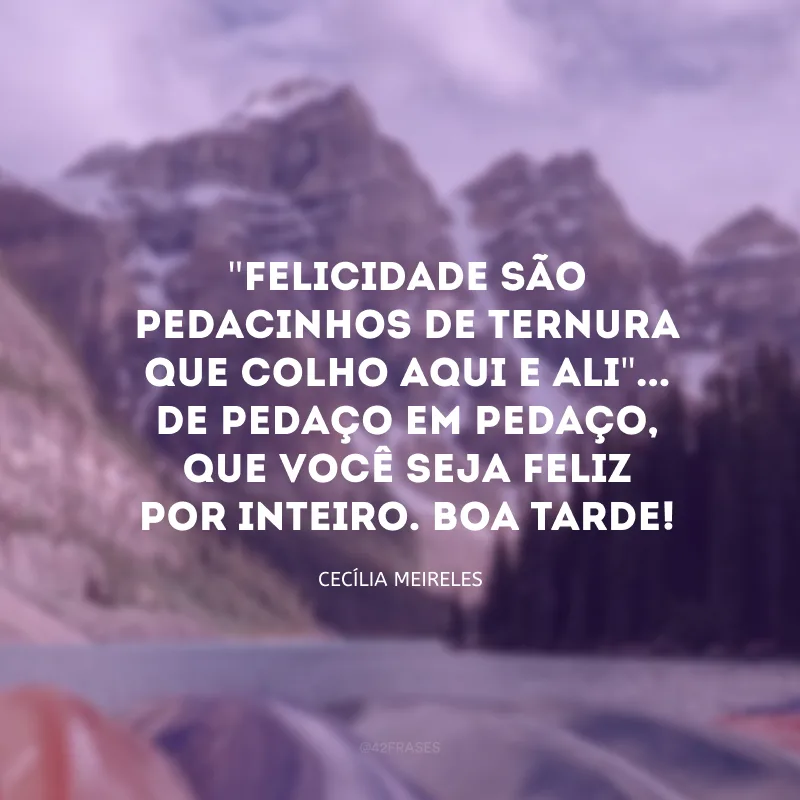 \"Felicidade são pedacinhos de ternura que colho aqui e ali\"... De pedaço em pedaço, que você seja feliz por inteiro. Boa tarde!