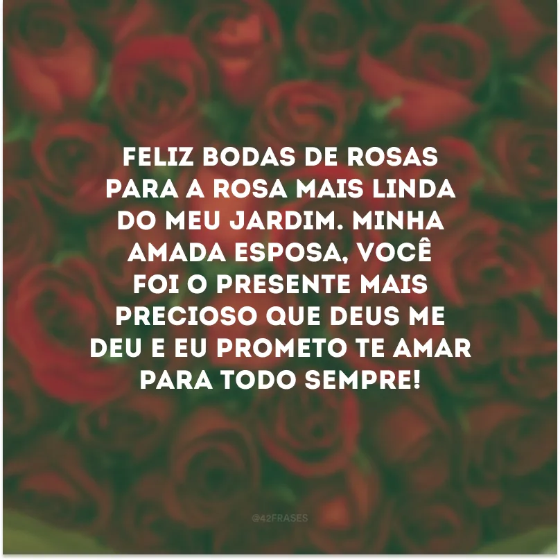 Feliz bodas de rosas para a rosa mais linda do meu jardim. Minha amada esposa, você foi o presente mais precioso que Deus me deu e eu prometo te amar para todo sempre!