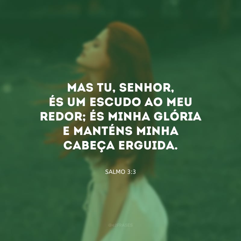 Mas Tu, Senhor, és um escudo ao meu redor; és minha glória e manténs minha cabeça erguida.