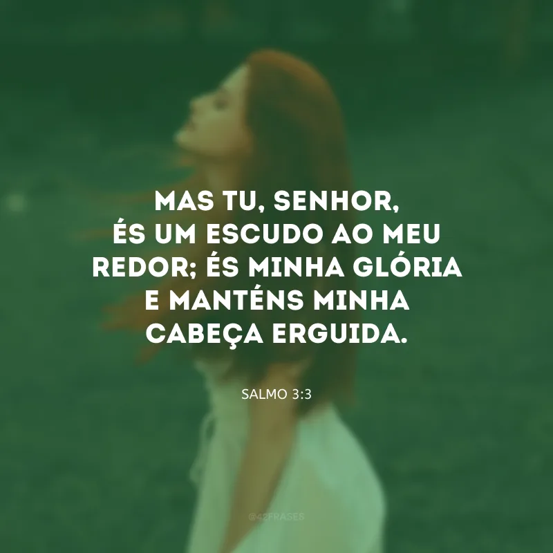 Mas Tu, Senhor, és um escudo ao meu redor; és minha glória e manténs minha cabeça erguida.