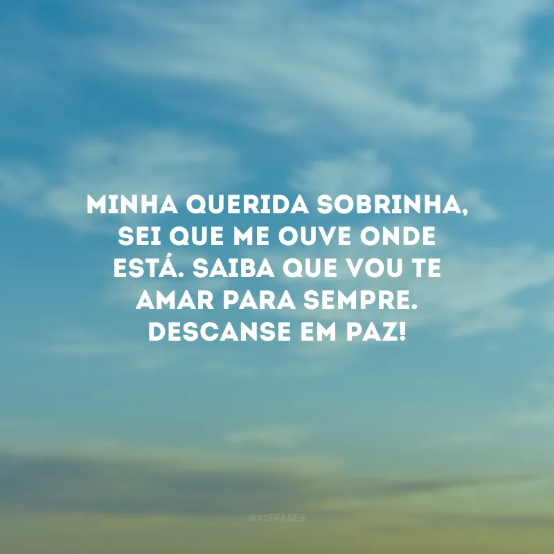 Minha querida sobrinha, sei que me ouve onde está. Saiba que vou te amar para sempre. Descanse em paz!