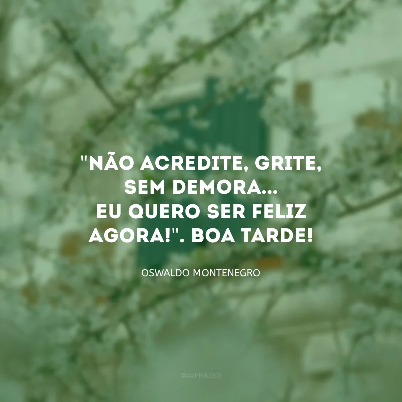 \"Não acredite, grite, sem demora... Eu quero ser feliz agora!\". Boa tarde!