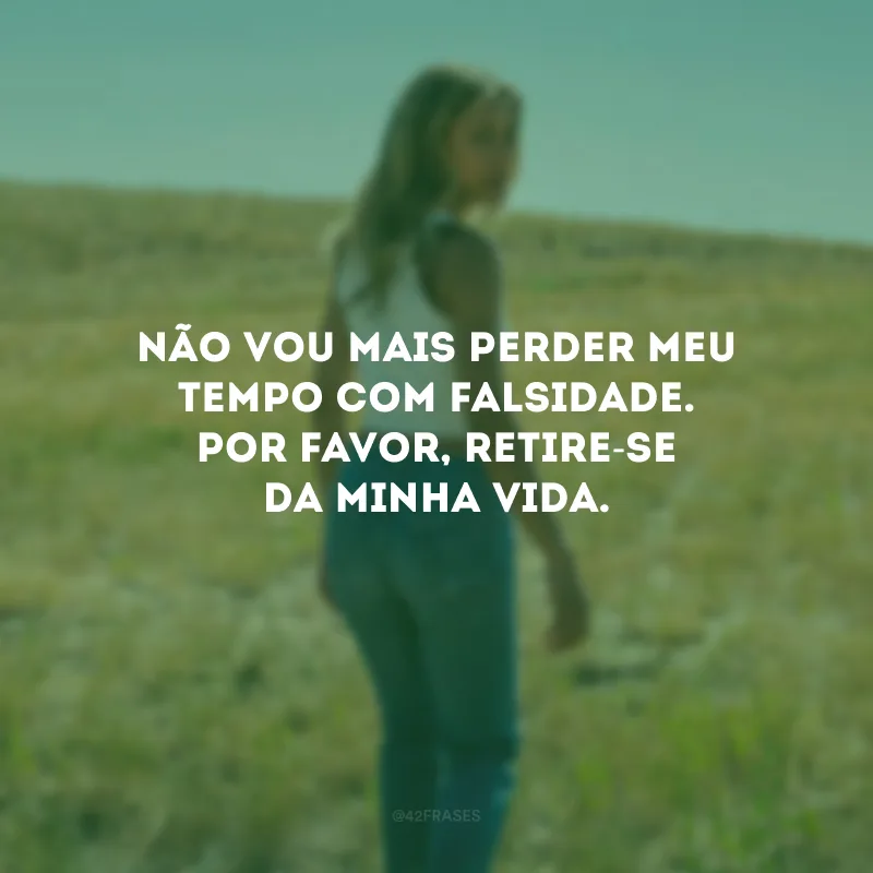 Não vou mais perder meu tempo com falsidade. Por favor, retire-se da minha vida.
