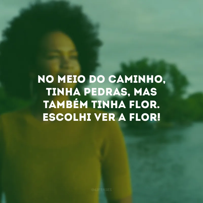 No meio do caminho, tinha pedras, mas também tinha flor. Escolhi ver a flor!