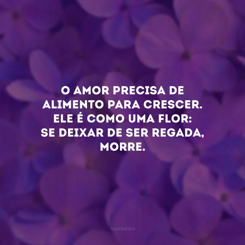 O amor precisa de alimento para crescer. Ele é como uma flor: se deixar de ser regada, morre.