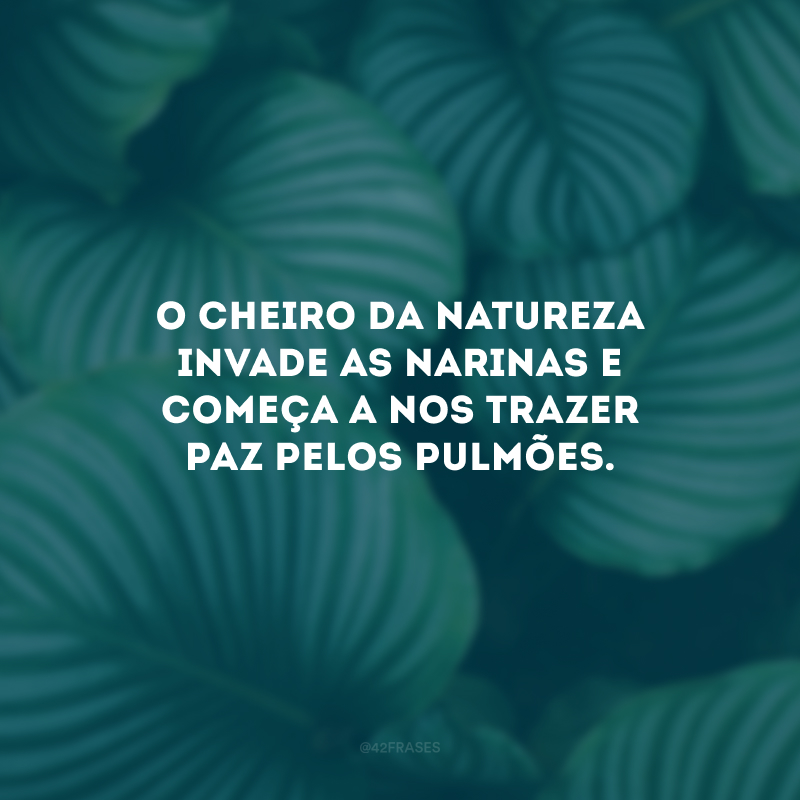 O cheiro da natureza invade as narinas e começa a nos trazer paz pelos pulmões.
