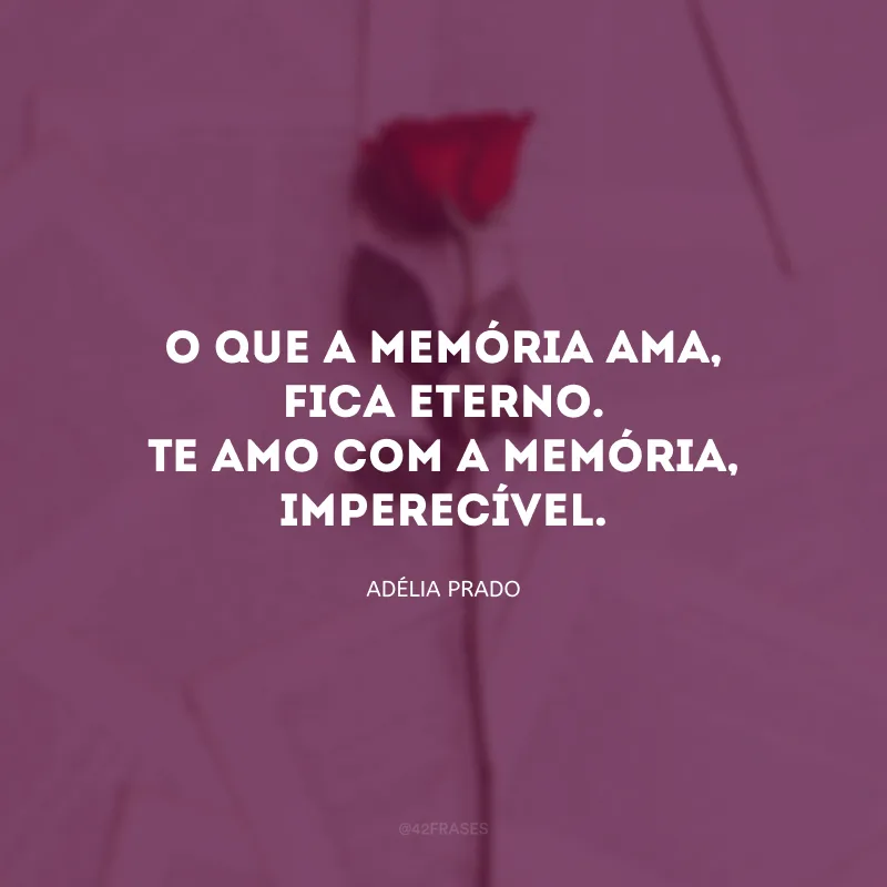 O que a memória ama, fica eterno. Te amo com a memória, imperecível.