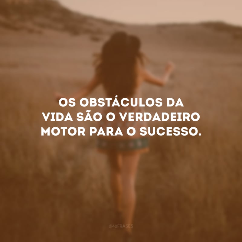 Os obstáculos da vida são o verdadeiro motor para o sucesso.