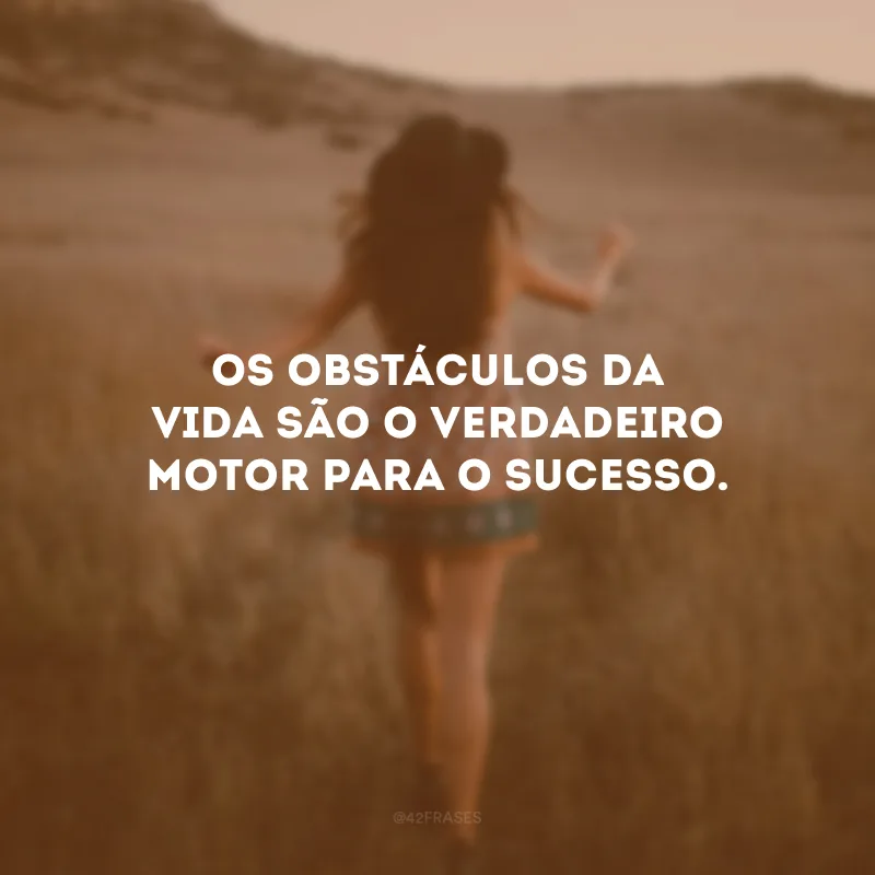 Os obstáculos da vida são o verdadeiro motor para o sucesso.
