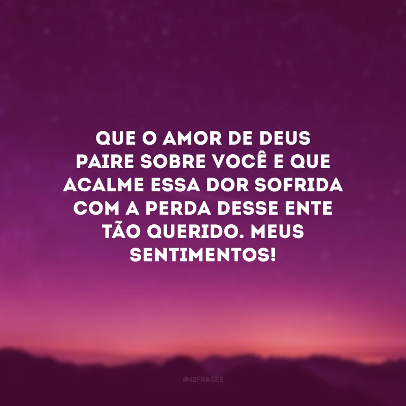 Que o amor de Deus paire sobre você e que acalme essa dor sofrida com a perda desse ente tão querido. Meus sentimentos!