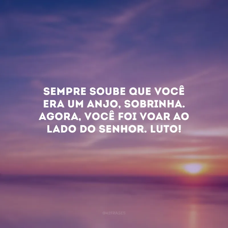 Sempre soube que você era um anjo, sobrinha. Agora, você foi voar ao lado do Senhor. Luto!