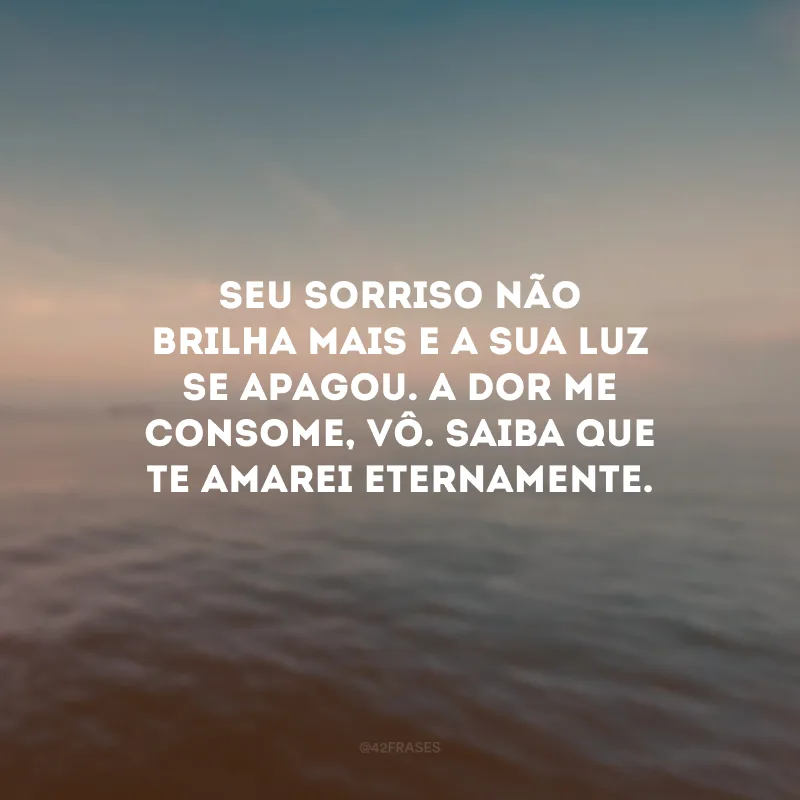 Seu sorriso não brilha mais e a sua luz se apagou. A dor me consome, vô. Saiba que te amarei eternamente.