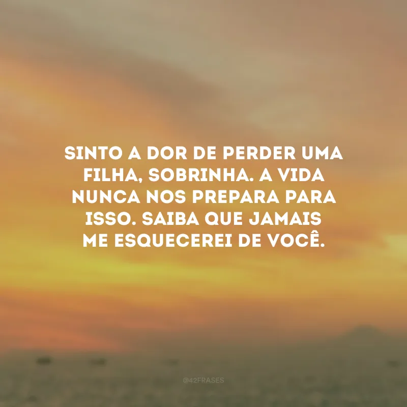 Sinto a dor de perder uma filha, sobrinha. A vida nunca nos prepara para isso. Saiba que jamais me esquecerei de você.