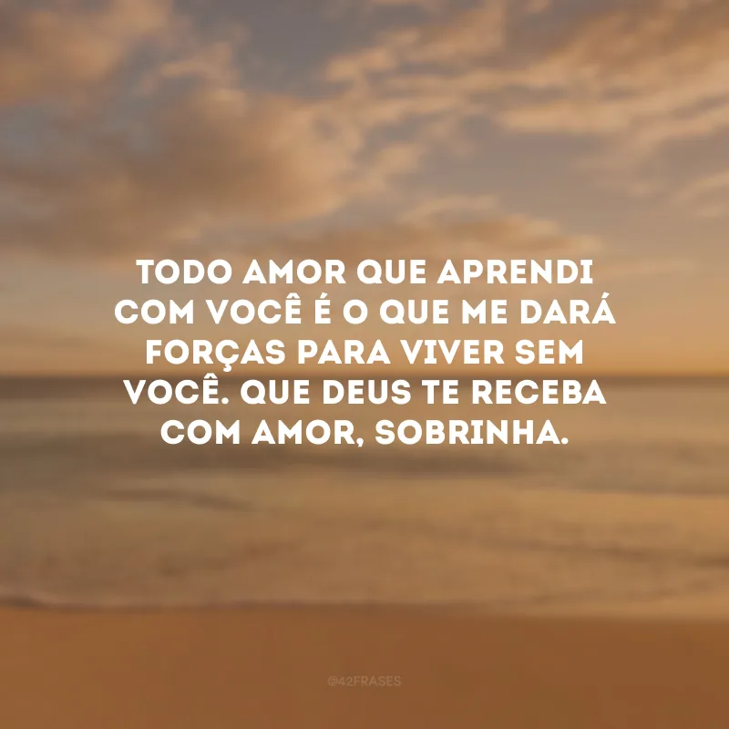 Todo amor que aprendi com você é o que me dará forças para viver sem você. Que Deus te receba com amor, sobrinha.