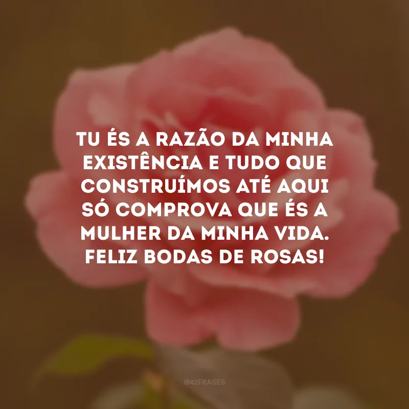 Tu és a razão da minha existência e tudo que construímos até aqui só comprova que és a mulher da minha vida. Feliz bodas de rosas!