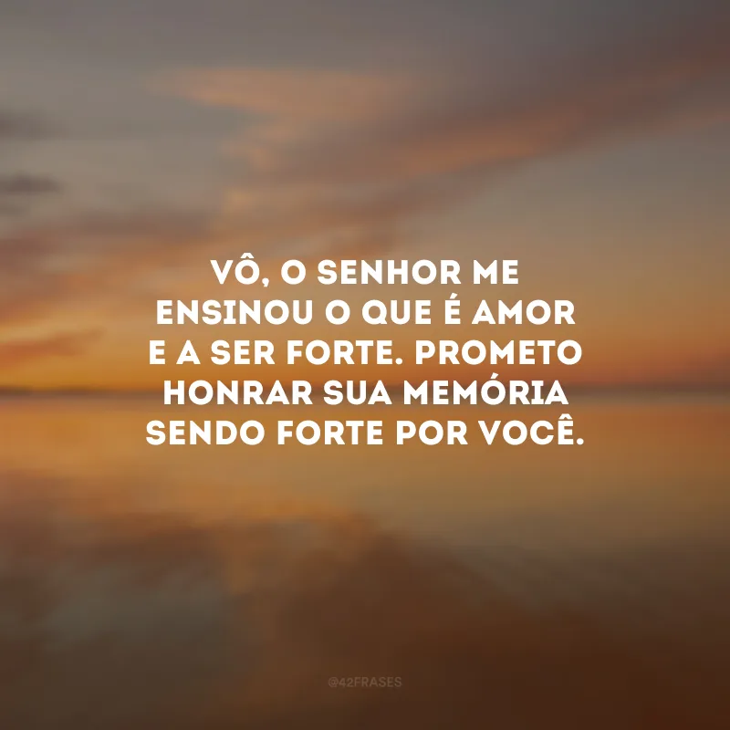 Vô, o senhor me ensinou o que é amor e a ser forte. Prometo honrar sua memória sendo forte por você.