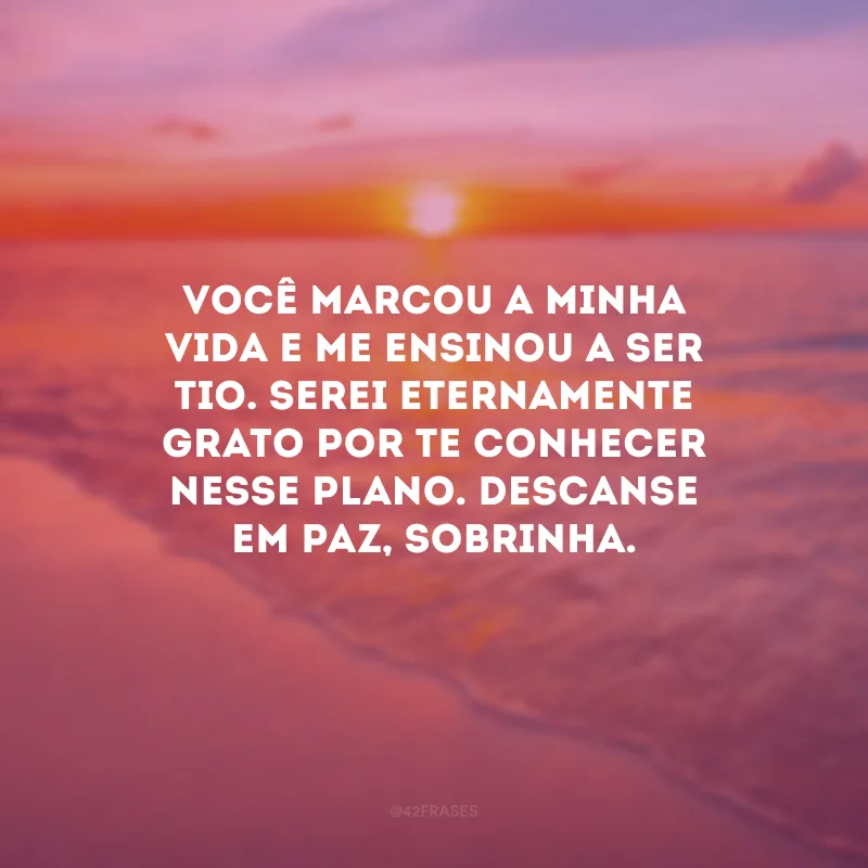 Você marcou a minha vida e me ensinou a ser tio. Serei eternamente grato por te conhecer nesse plano. Descanse em paz, sobrinha.