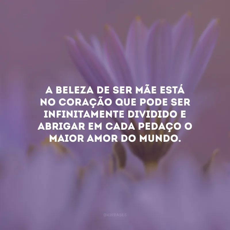 A beleza de ser mãe está no coração que pode ser infinitamente dividido e abrigar em cada pedaço o maior amor do mundo. 
