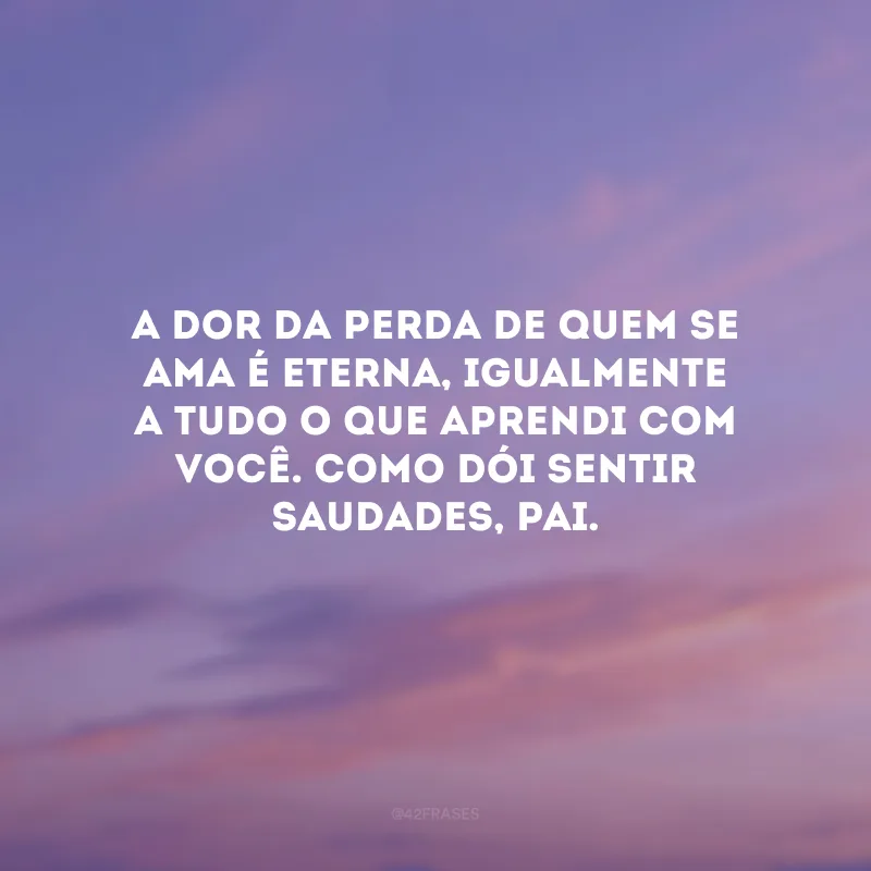 A dor da perda de quem se ama é eterna, igualmente a tudo o que aprendi com você. Como dói sentir saudades, pai.