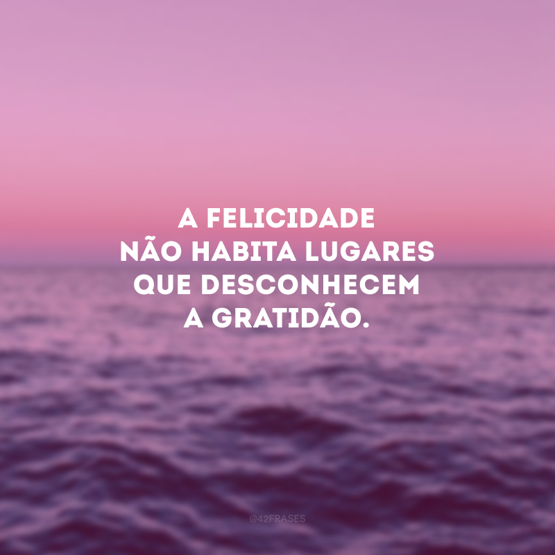 A felicidade não habita lugares que desconhecem a gratidão. 