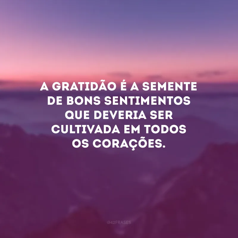 A gratidão é um tesouro que transforma os corações e molda o futuro.