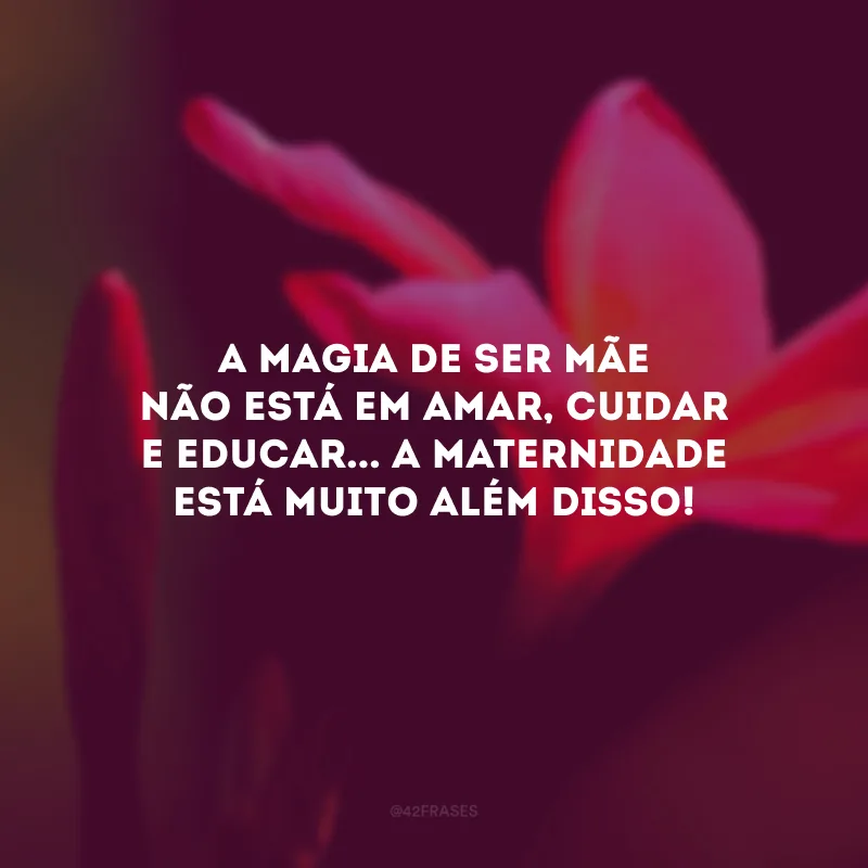 A magia de ser mãe não está em amar, cuidar e educar... A maternidade está muito além disso! 