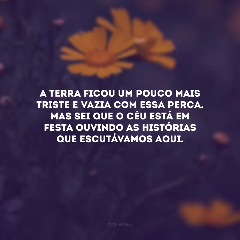 A terra ficou um pouco mais triste e vazia com essa perca. Mas sei que o céu está em festa ouvindo as histórias que escutávamos aqui.