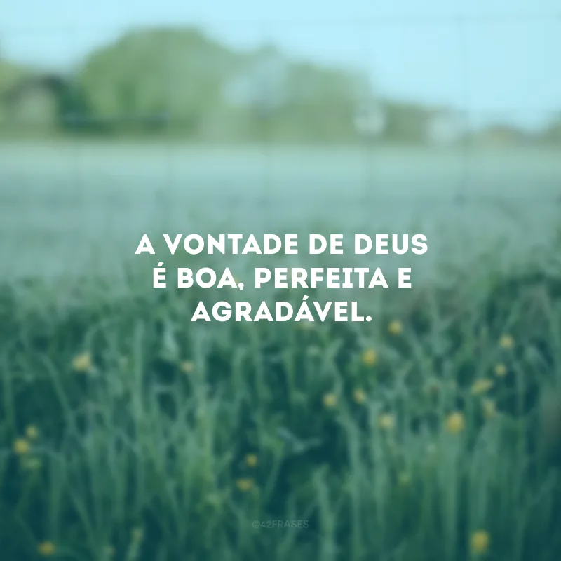 A vontade de Deus é boa, perfeita e agradável. 