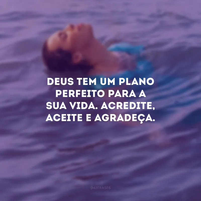 Deus tem um plano perfeito para a sua vida. Acredite, aceite e agradeça. 