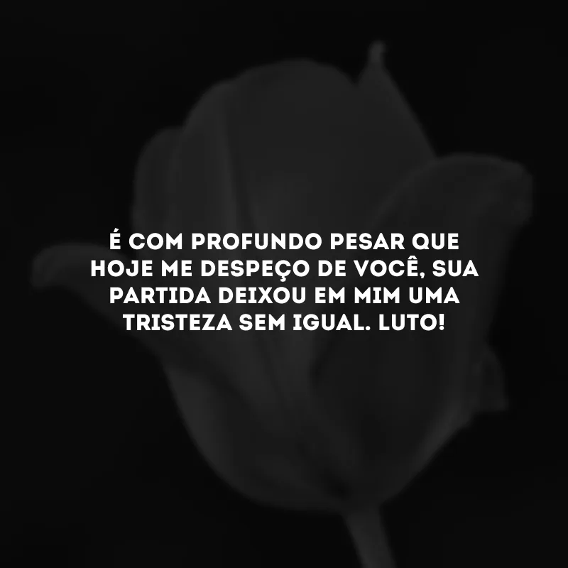 É com profundo pesar que hoje me despeço de você, sua partida deixou em mim uma tristeza sem igual. Luto!