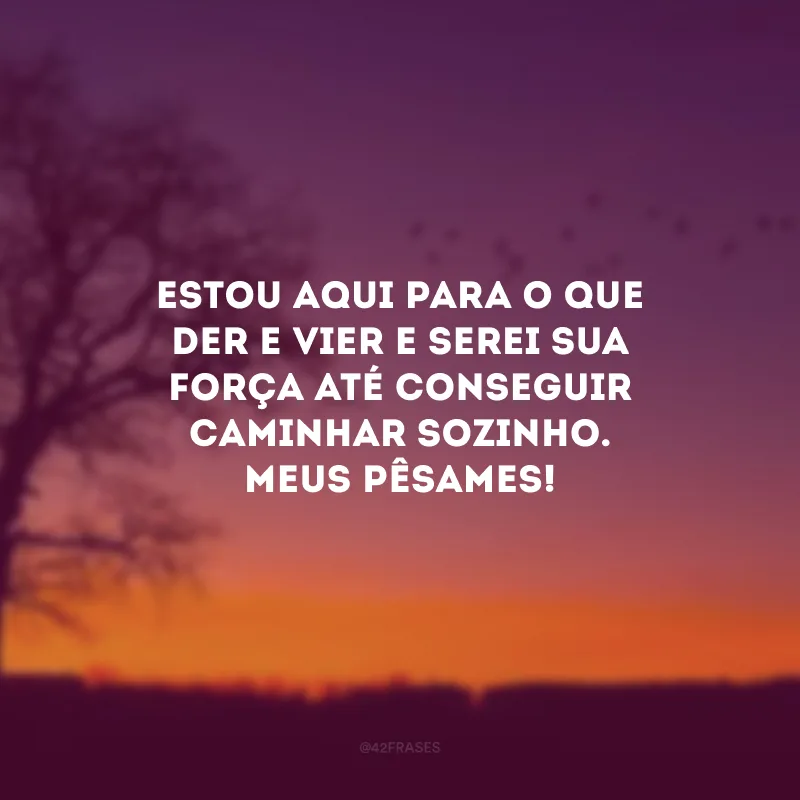 Estou aqui para o que der e vier e serei sua força até conseguir caminhar sozinho. Meus pêsames!