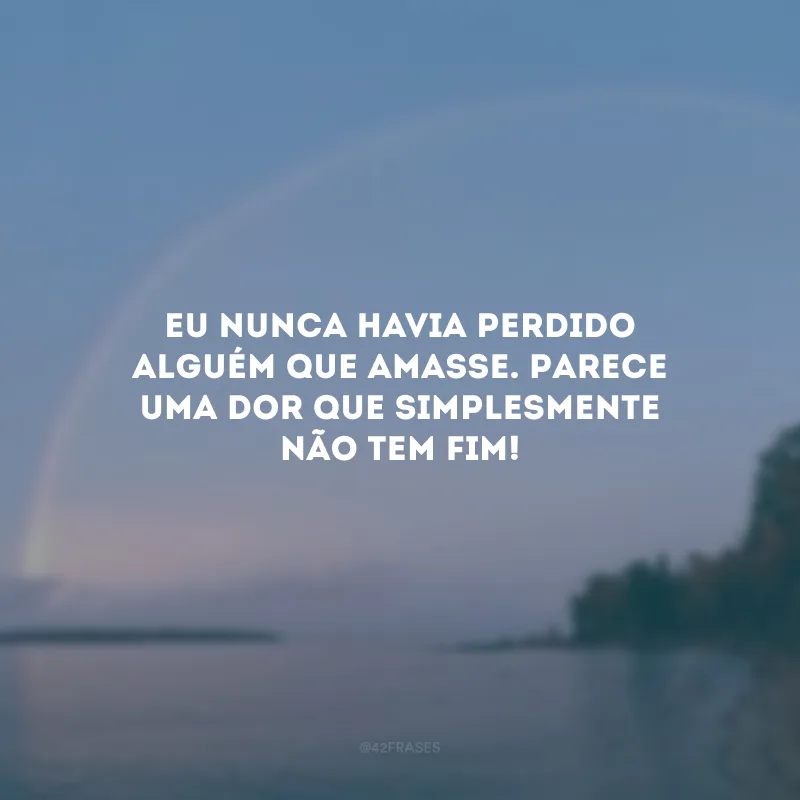 Eu nunca havia perdido alguém que amasse. Parece uma dor que simplesmente não tem fim!