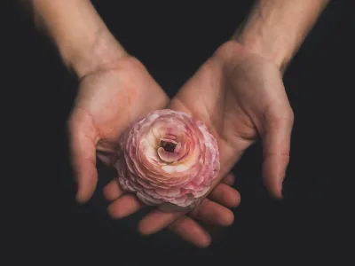 50 frases de gratidão pela vida para ver o lado bom das coisas