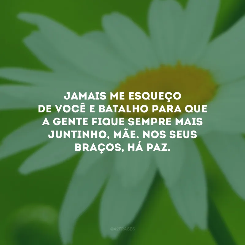 Jamais me esqueço de você e batalho para que a gente fique sempre mais juntinho, mãe. Nos seus braços, há paz.