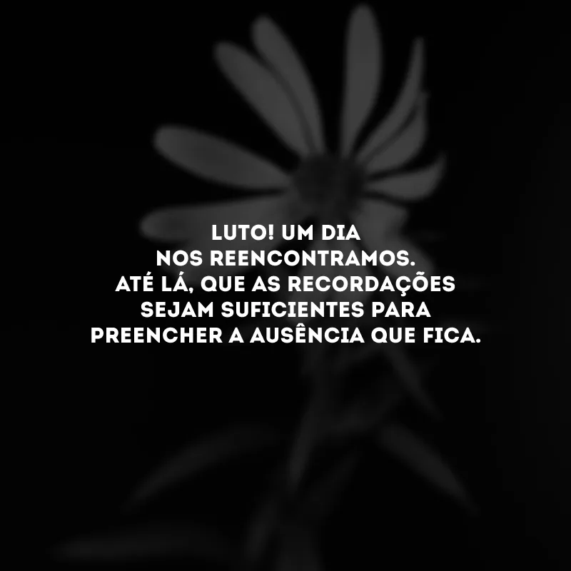 Luto! Um dia nos reencontramos. Até lá, que as recordações sejam suficientes para preencher a ausência que fica.