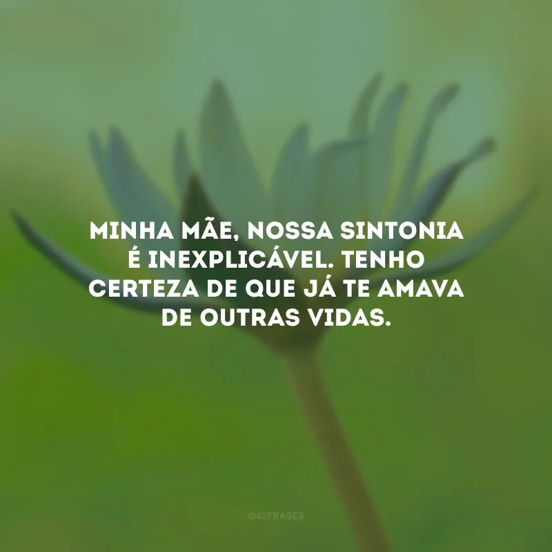 Minha mãe, nossa sintonia é inexplicável. Tenho certeza de que já te amava de outras vidas.
