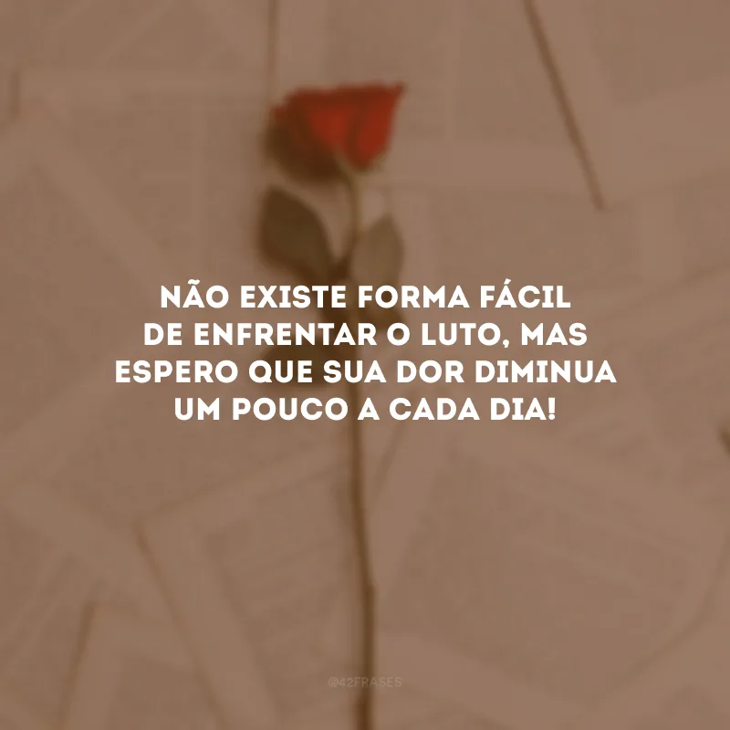 Não existe forma fácil de enfrentar o luto, mas espero que sua dor diminua um pouco a cada dia!