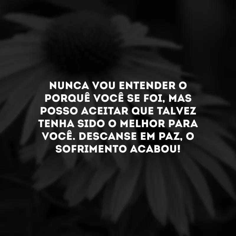 Nunca vou entender o porquê você se foi, mas posso aceitar que talvez tenha sido o melhor para você. Descanse em paz, o sofrimento acabou!